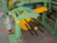 Roll Forming Machine